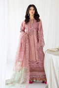 SELIN Korean Raw Silk Pakistani Casuals Dresses
