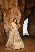 DELIA Embroidered Pakistani Dress