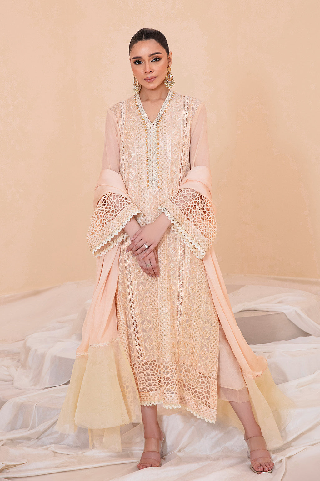 Blush Pakistani Designer Dress