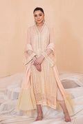 Blush Pakistani Designer Dress