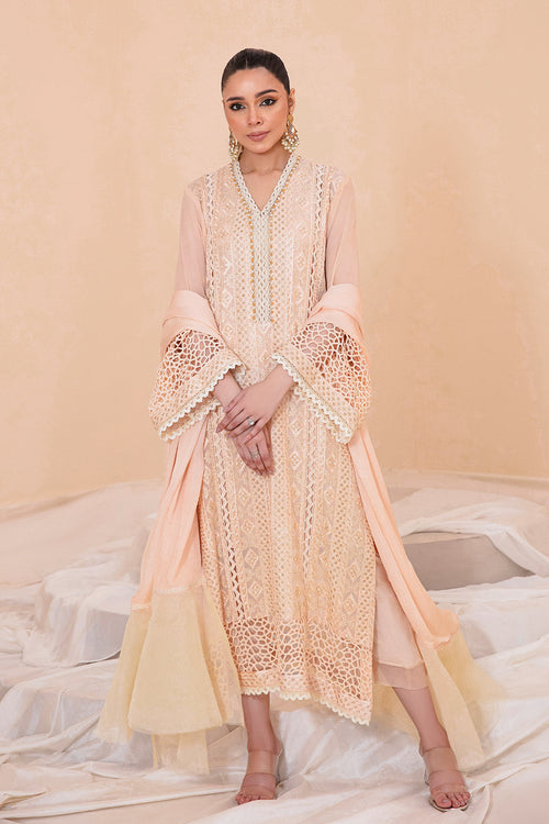 Blush Pakistani Designer Dress