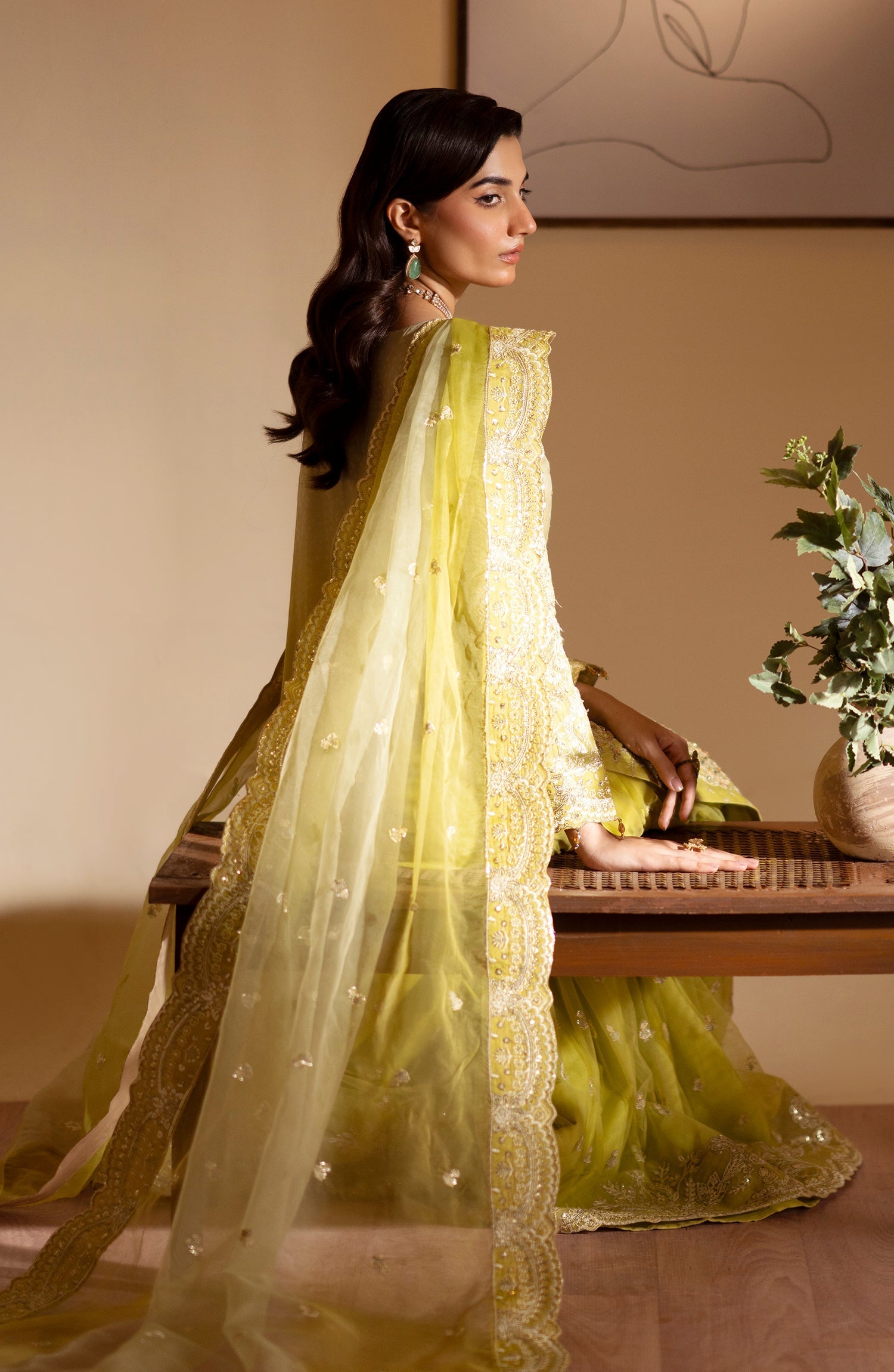 Sabian Raw Silk Pakistani Formal Dresses