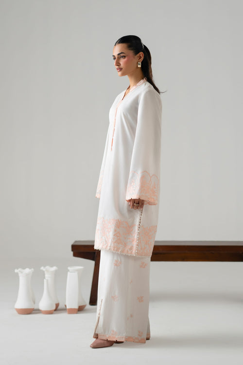 Ayna Cotton Pakistani Summer Dresses - Akbar Aslam - 2