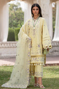 Moondale Pakistani Designer Dress