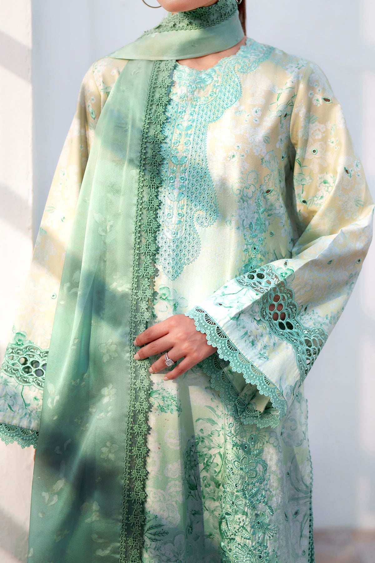 AURYN Organza Pakistani Summer Dresses - Afrozeh - 3