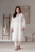 Frost Embroidered Pakistani Dress