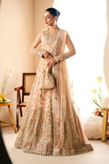 Daffodil Pakistani Designer Dress