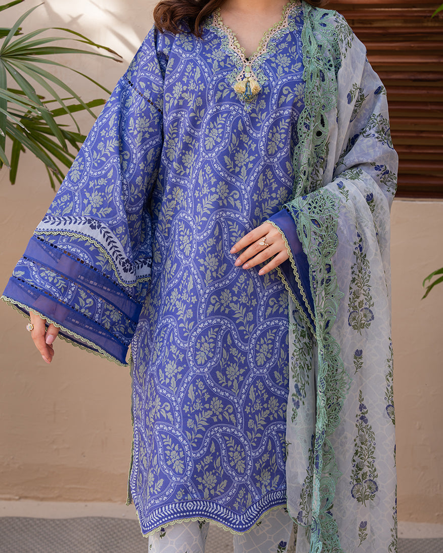 Botanica Organza Women Clothing - Roheenaz - 4
