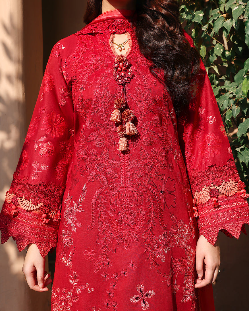 Opaline Organza Women Clothing - Roheenaz - 4