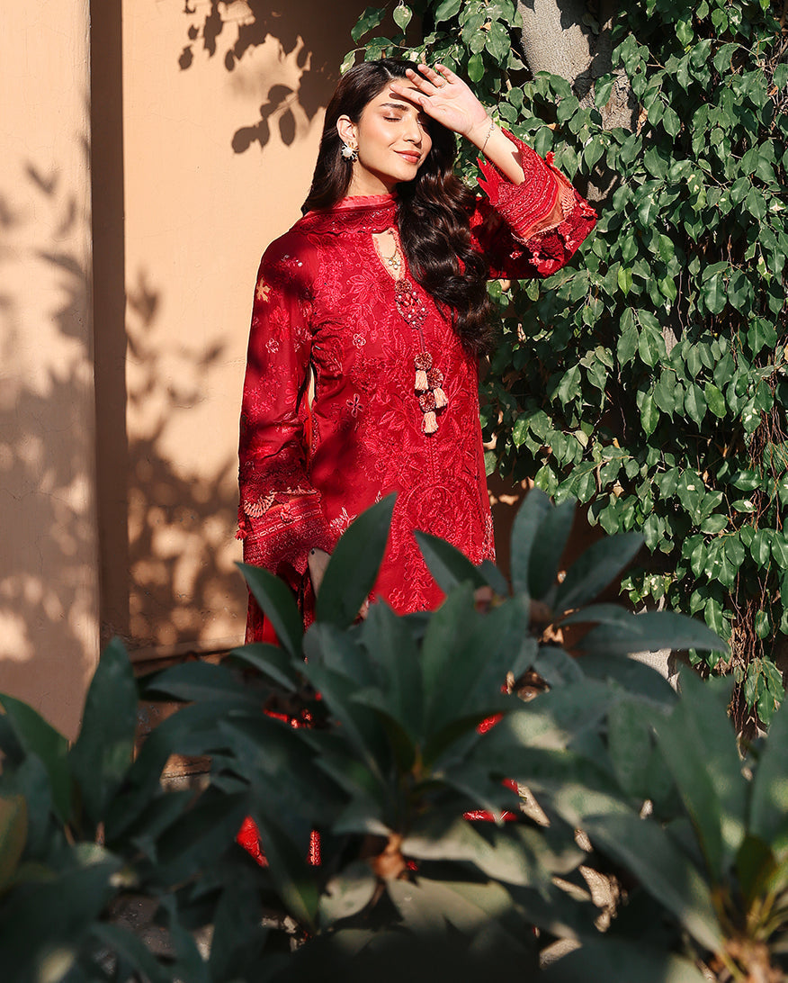 Opaline Organza Women Clothing - Roheenaz - 5
