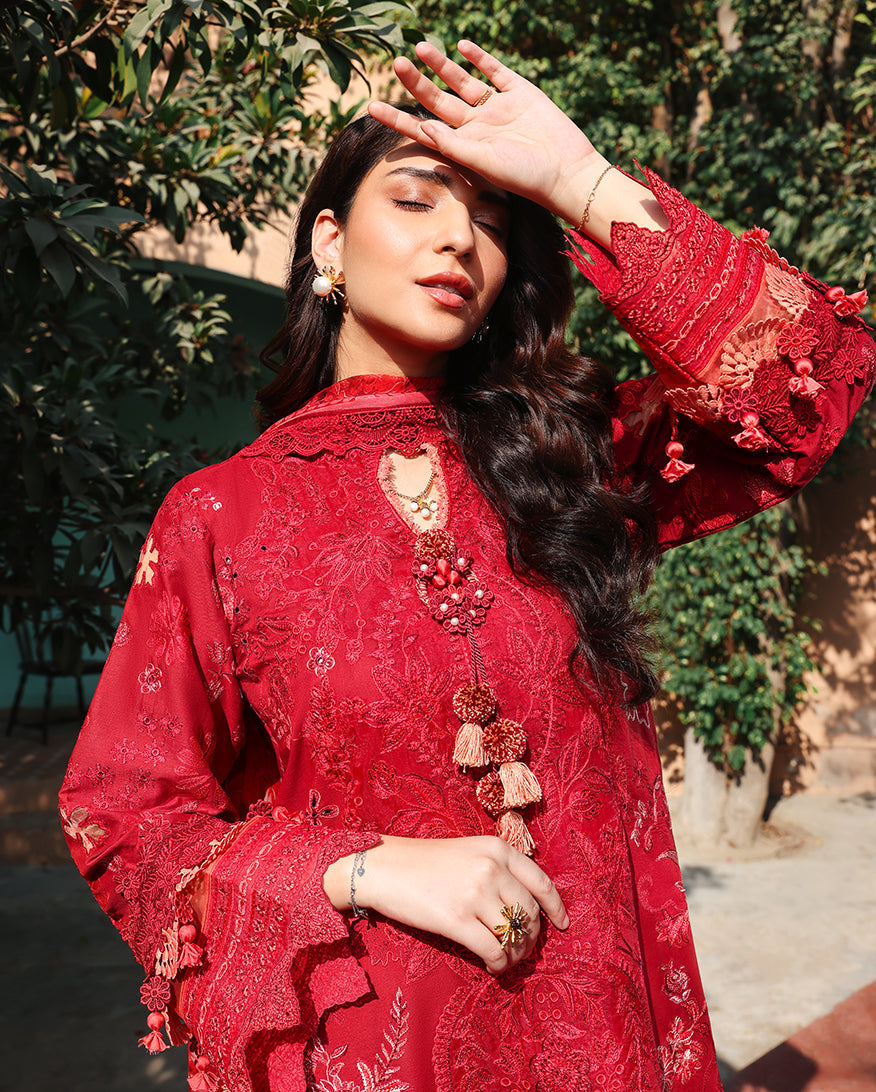 Opaline Organza Women Clothing - Roheenaz - 3