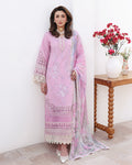 Pastel Dream Organza Women Clothing - Roheenaz - 1