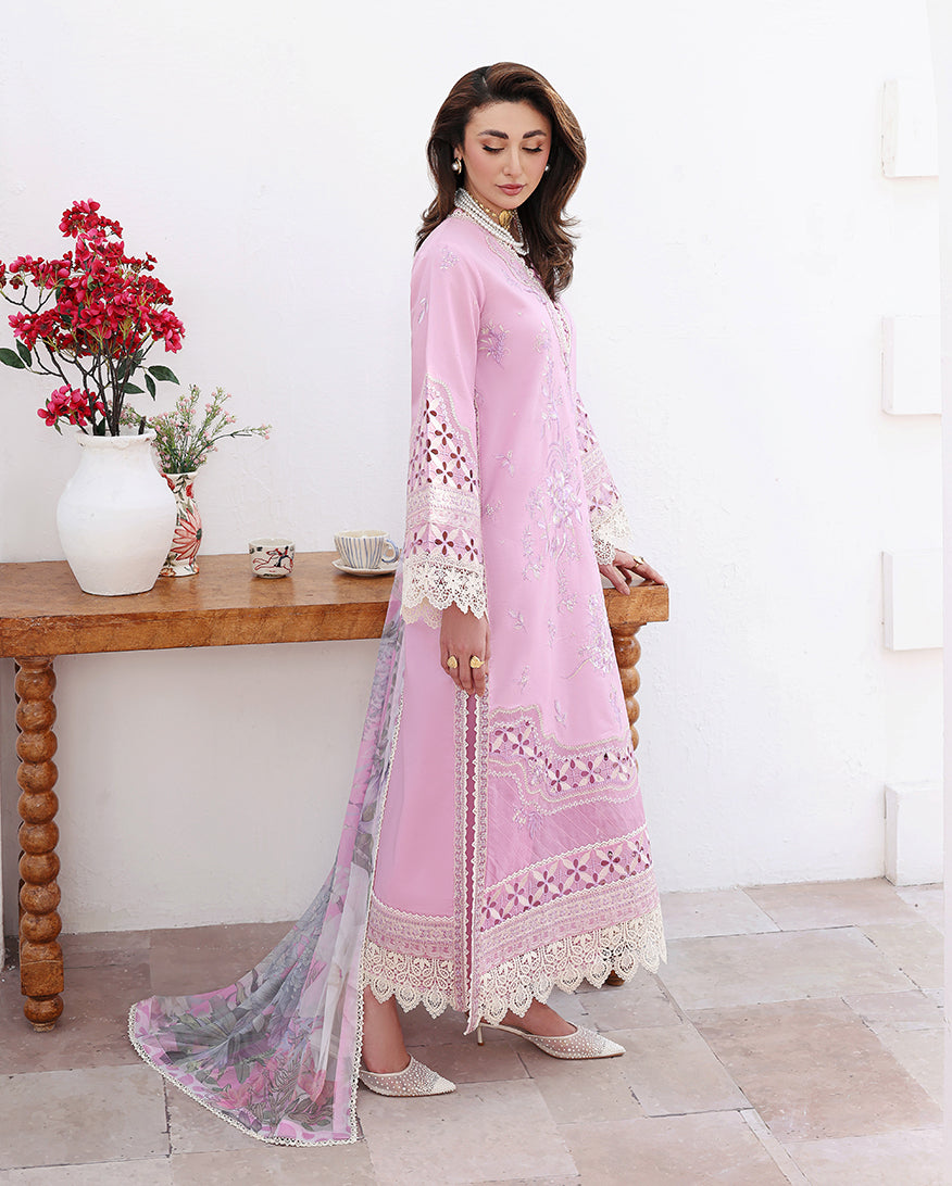 Pastel Dream Organza Women Clothing - Roheenaz - 3