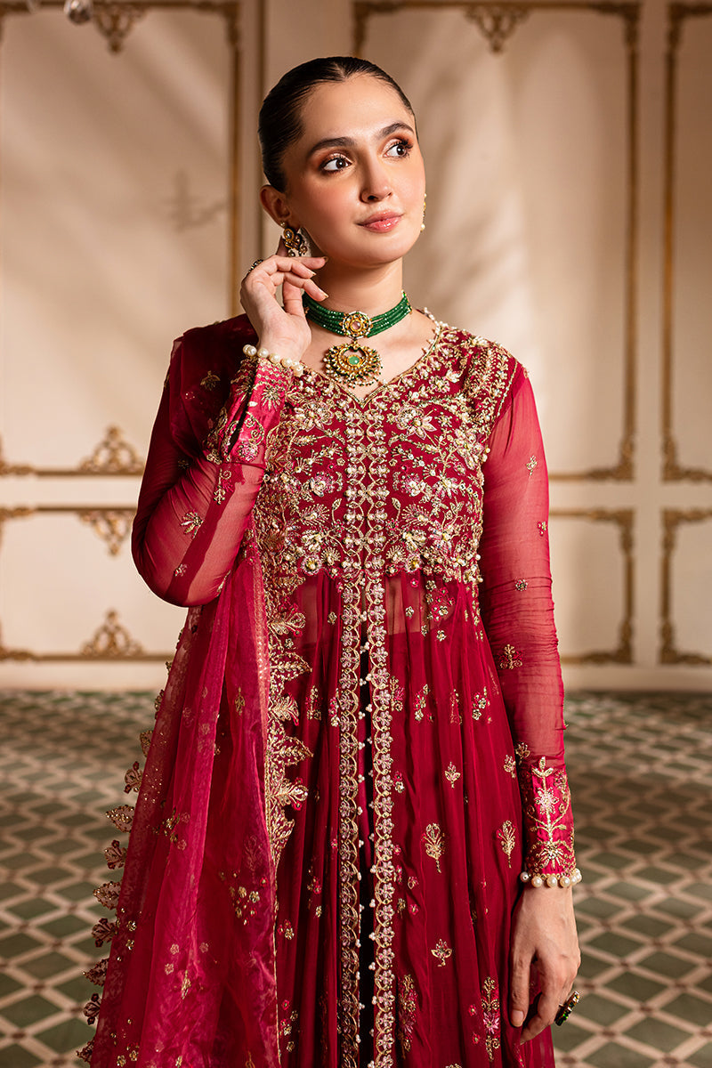 Dua Raw Silk Women Clothing - Roheenaz - 2