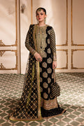 Taliya Raw Silk Women Clothing - Roheenaz - 1