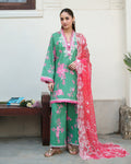 Rose Mist Organza Women Clothing - Roheenaz - 1