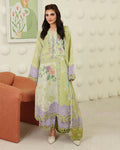 Sage Botanica Organza Women Clothing - Roheenaz - 1