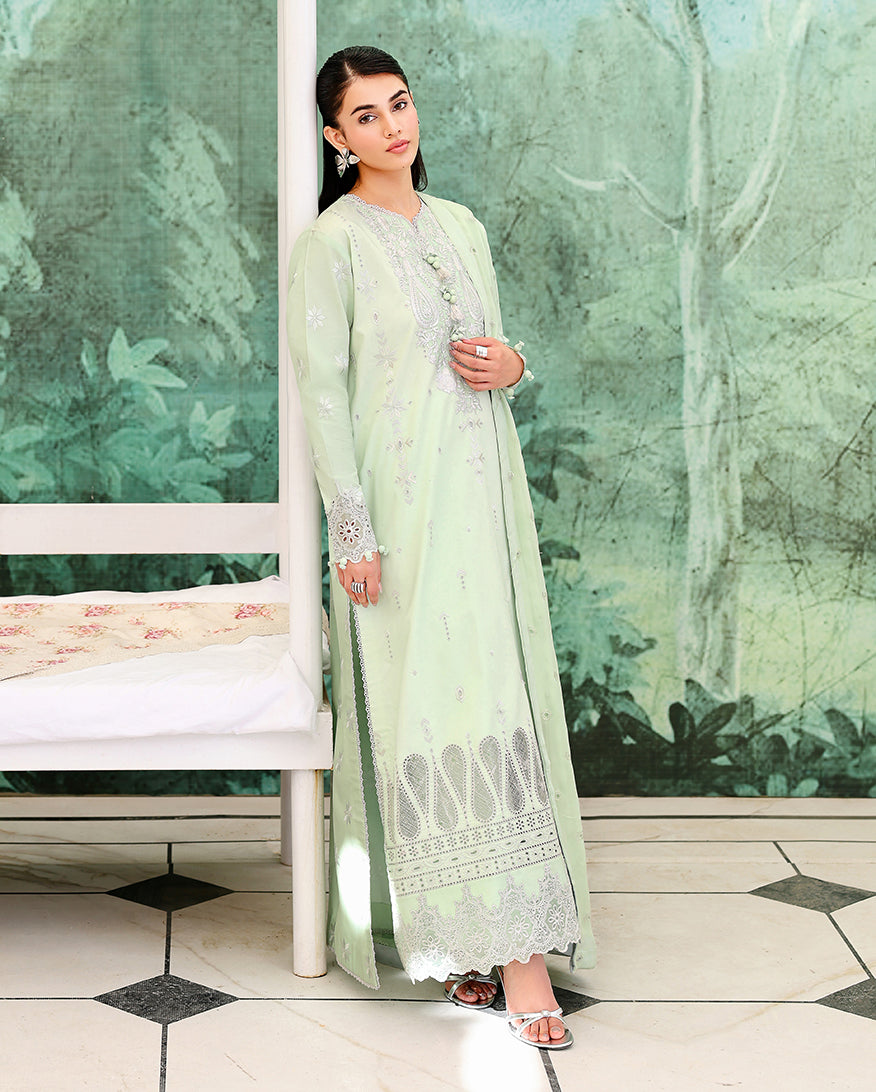 Serene Dusk Organza Women Clothing - Roheenaz - 2