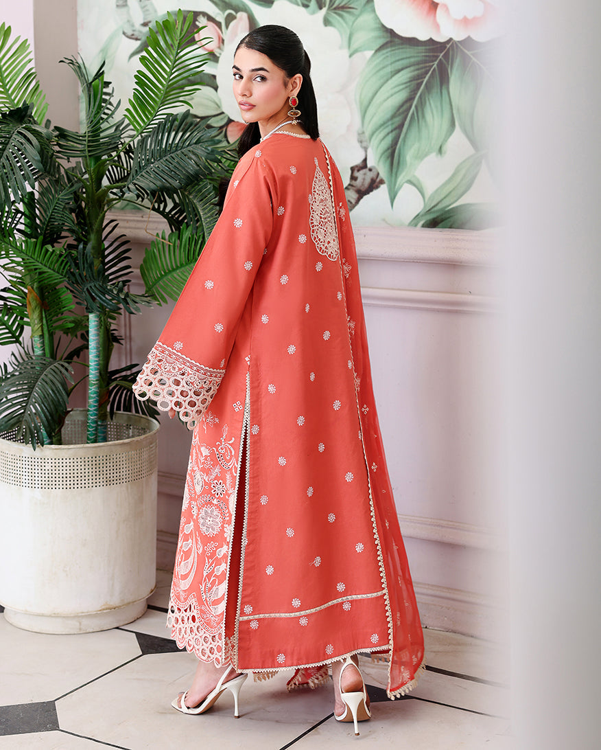 Soleil Blanc Organza Women Clothing - Roheenaz - 2
