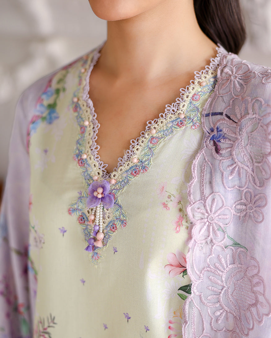 Sunveil Organza Women Clothing - Roheenaz - 2