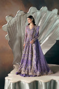 Eloah Organza Pakistani Formal Dresses - Afrozeh - 1