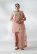 Ankara Allure Embroidered Pakistani Dress