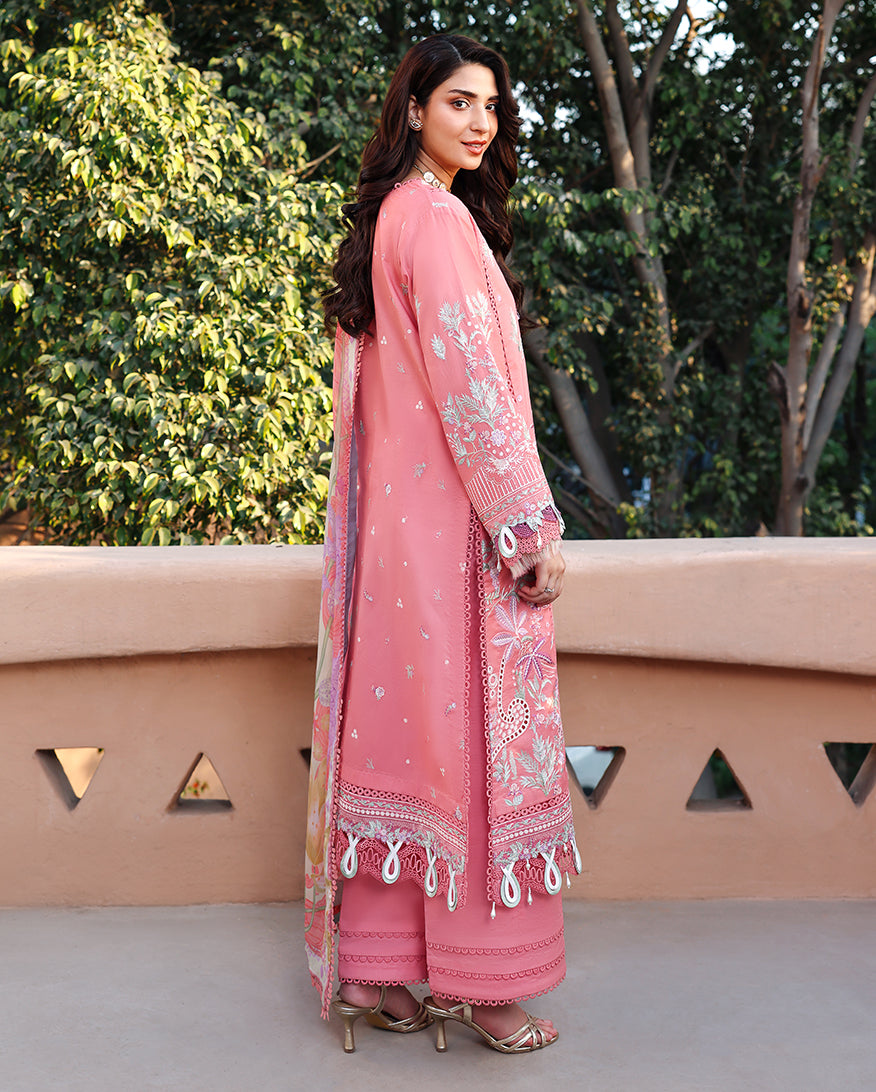 Velora Organza Women Clothing - Roheenaz - 2