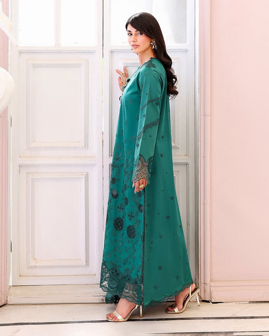 Whispered Veil Organza Women Clothing - Roheenaz - 2