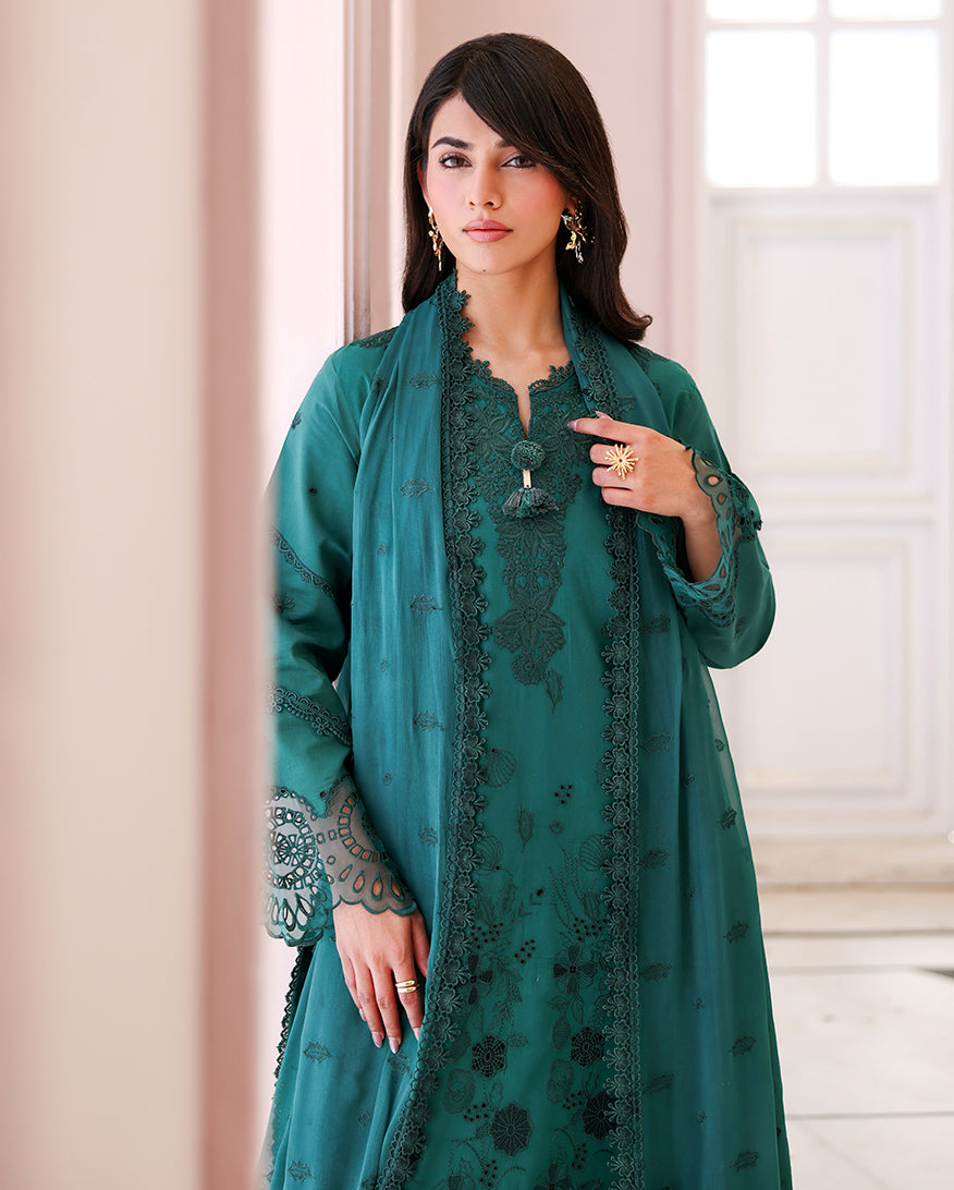 Whispered Veil Organza Women Clothing - Roheenaz - 3
