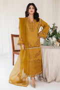 AMELIA Luxury Pakistani Fashion