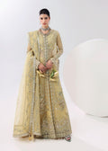 Amber haze Luxury Pakistani Fashion
