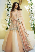Grace Premium Fabric Pakistani Bridal Dresses