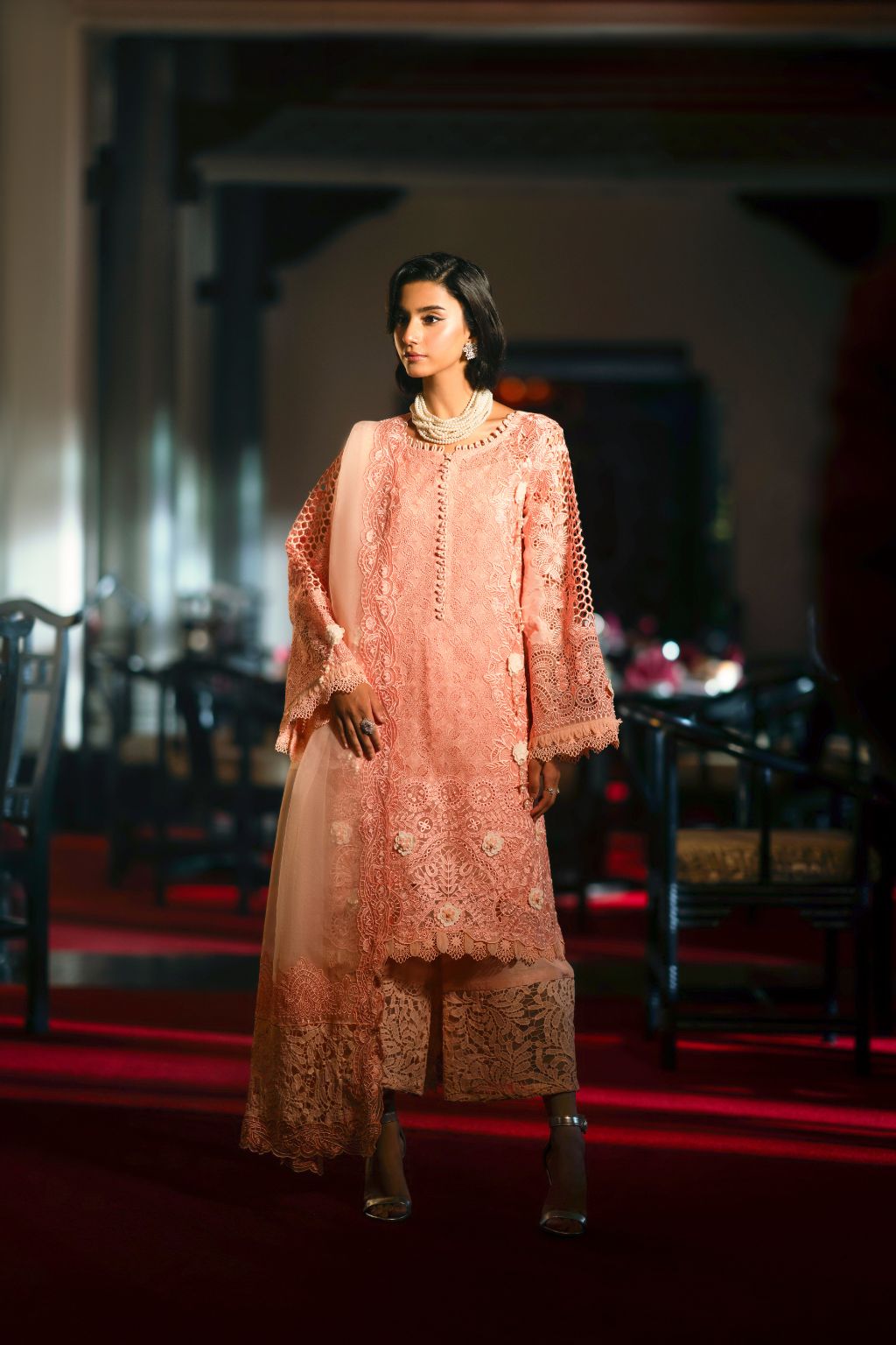 Lucent Embroidered Pakistani Dress