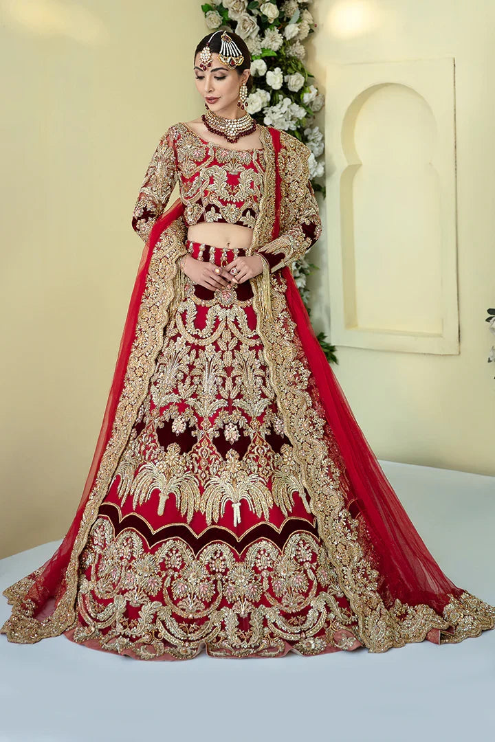 Noori Embroidered Pakistani Dress