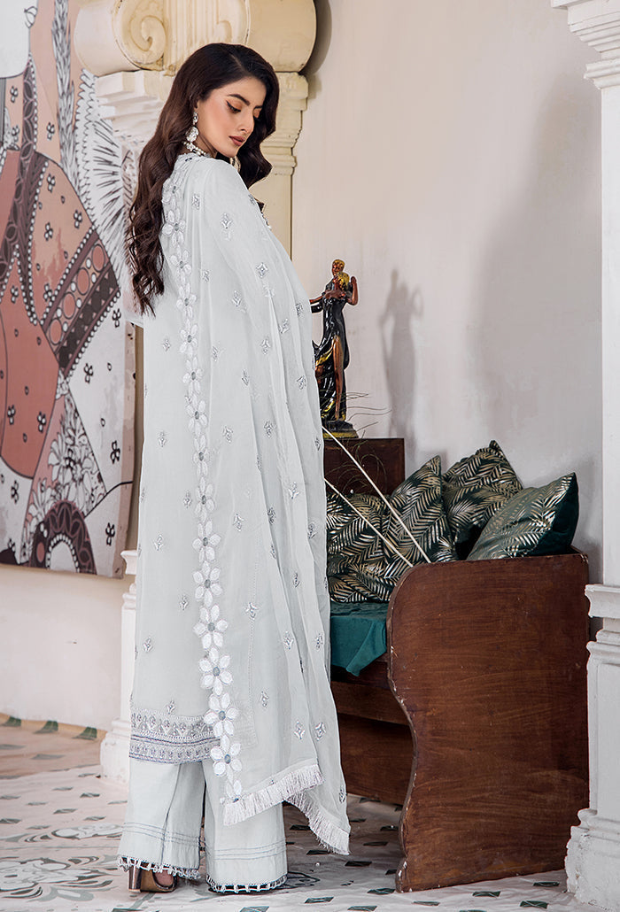 Pareesha embroidery tilla work collection-PS-05 Raw Silk Pakistani Winter Dresses - Humdum - 4