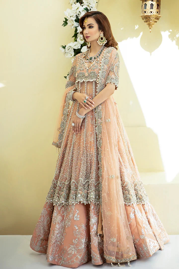 Sophia Premium Fabric Pakistani Bridal Dresses