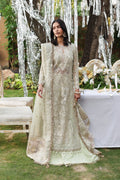 Soulhour Organza Pakistani Formal Dresses - Afrozeh - 1