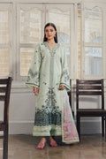 Dewlit Organza Pakistani Summer Dresses - Afrozeh - 1